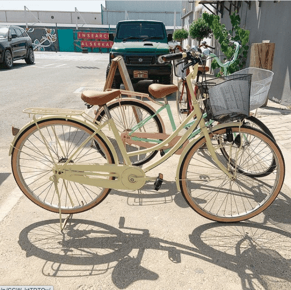 Bicycle For Women - Skinner - Charicycles