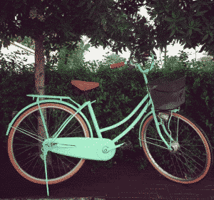 Charicycles Rental
