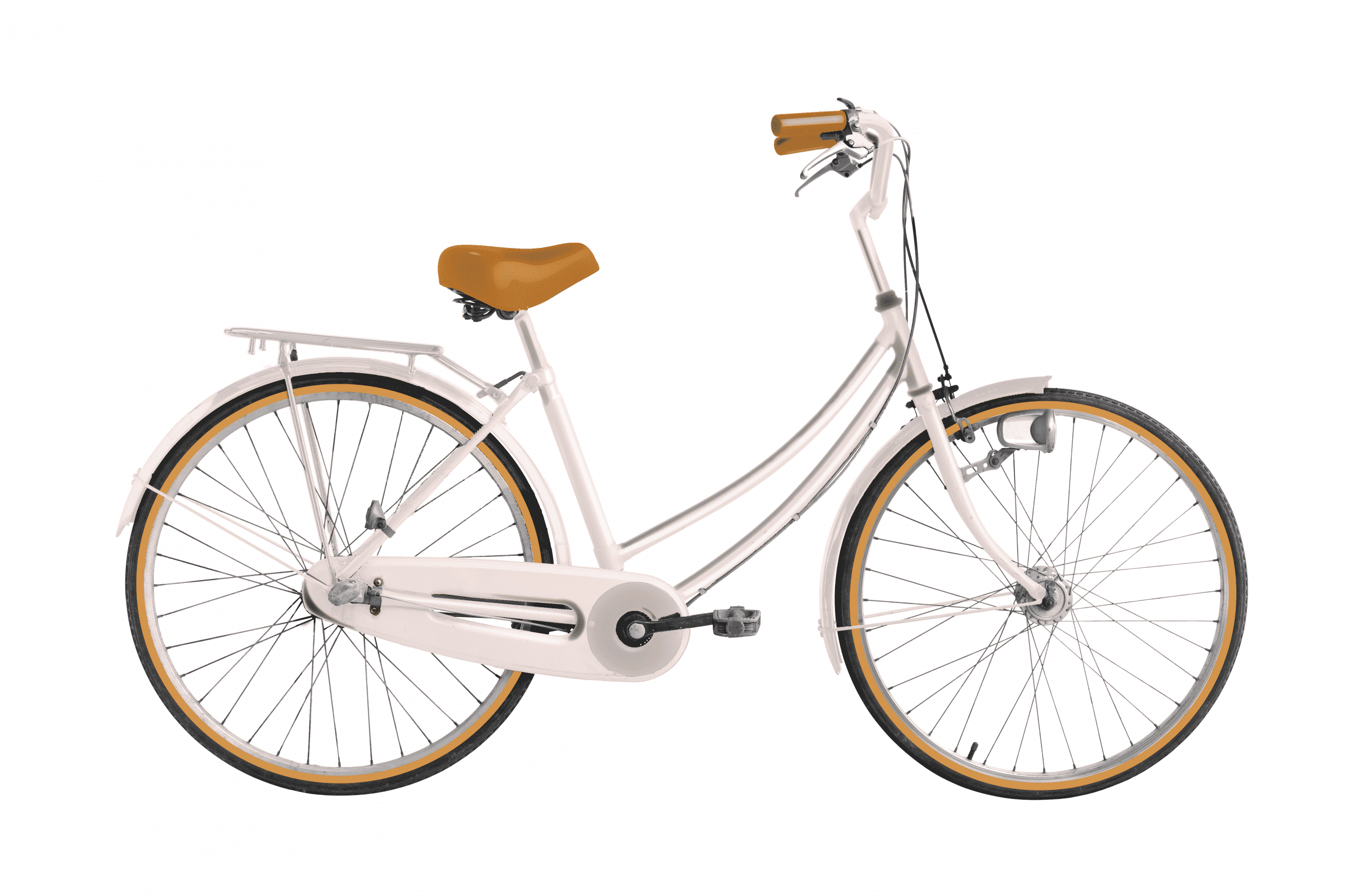 Bicycle For Women - Skinner - Charicycles