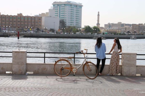 Bicycle For Women - Camel Tea - Image 2