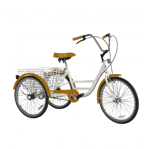 Charicycle Tricycle - Bear Hug