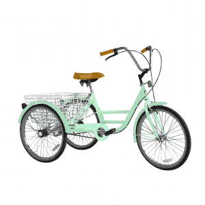 Charicycle Tricycle - Birdie